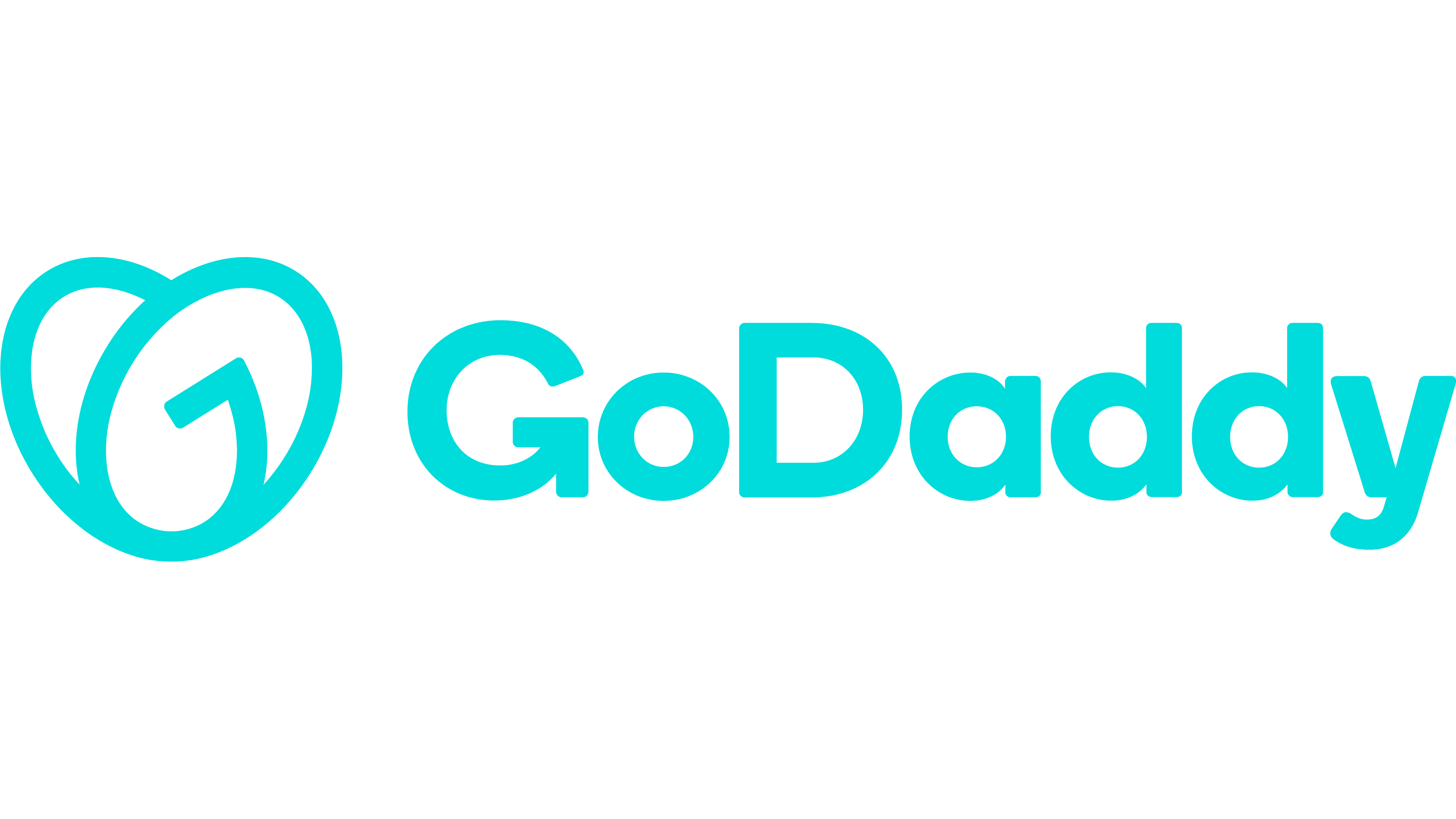 GoDaddy logo with stylized heart design.